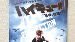 ハウステンボスでワンピースのアトラクションに乗ってみた感想 カラーリーフクラフト