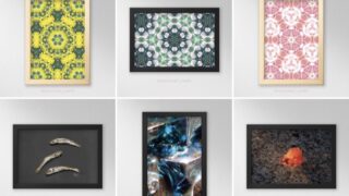 出展情報:企画展「カラープロジェクト展」