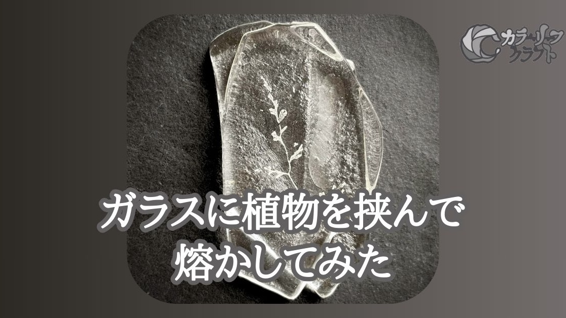 ガラスに植物を挟んで熔かしてみた。
